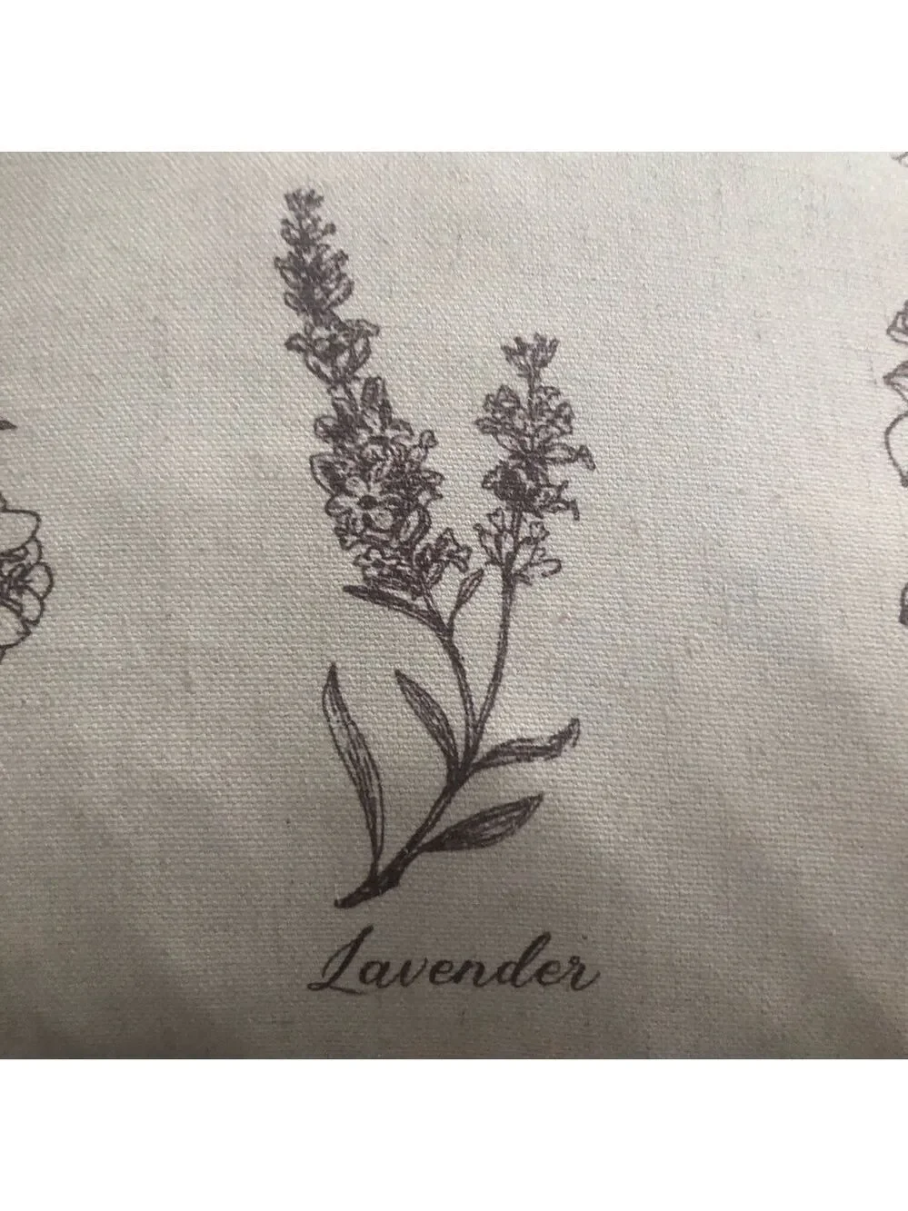Grandinroad throw pillow. Botanical prints. Polyester linen blend 16”x 16”